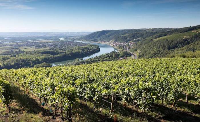 Wine treasures and tourism in the Rhône Valley