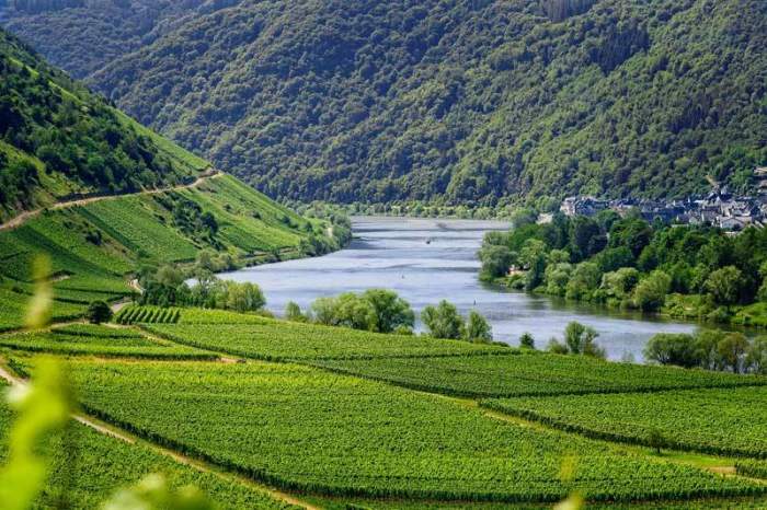 Wine treasures and tourism in the Rhône Valley