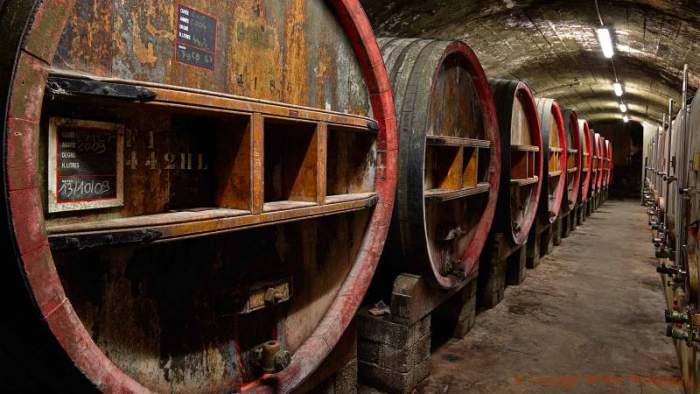 Wine treasures and tourism in the Rhône Valley