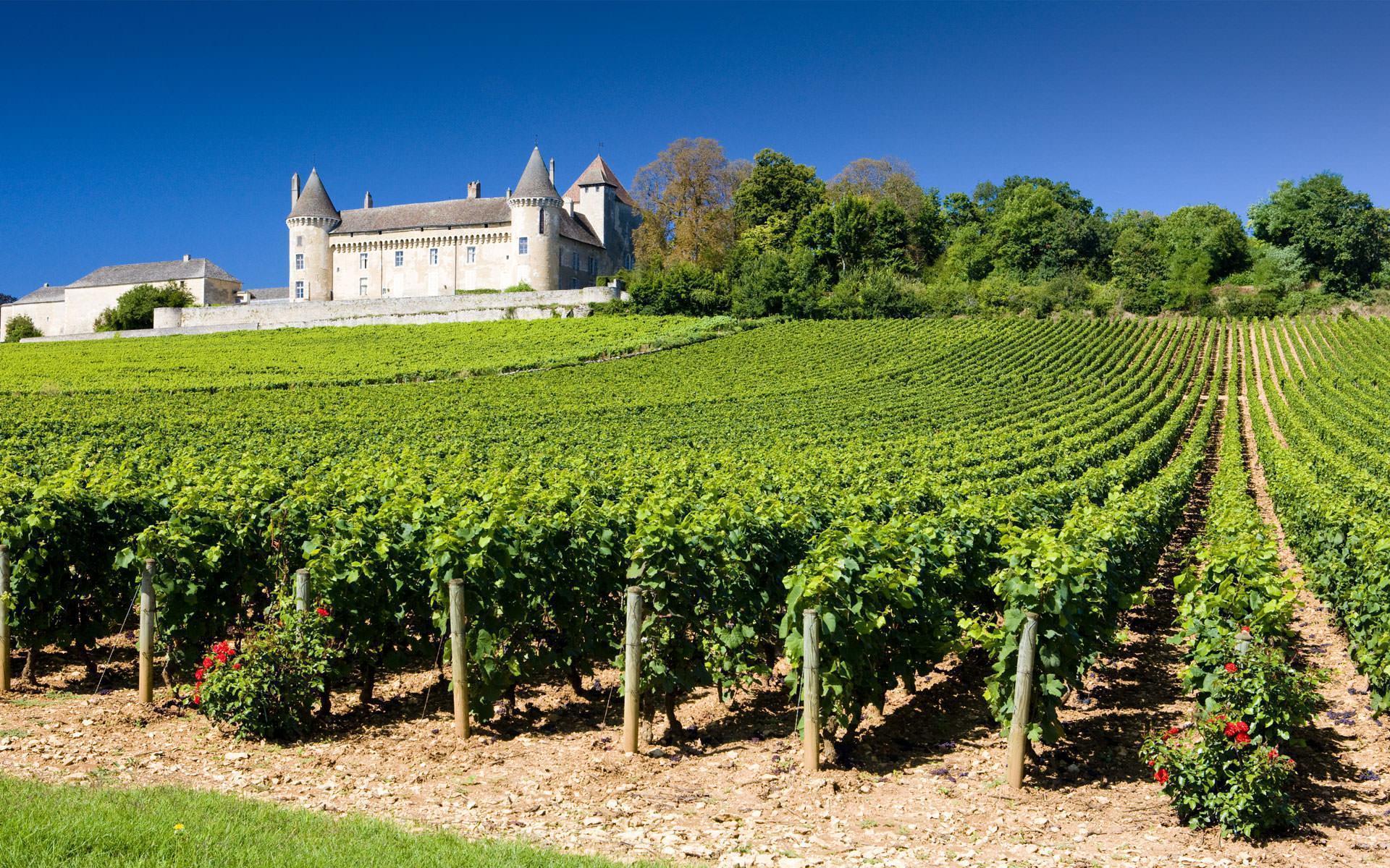 Voyages et séminaire oenologiques en France