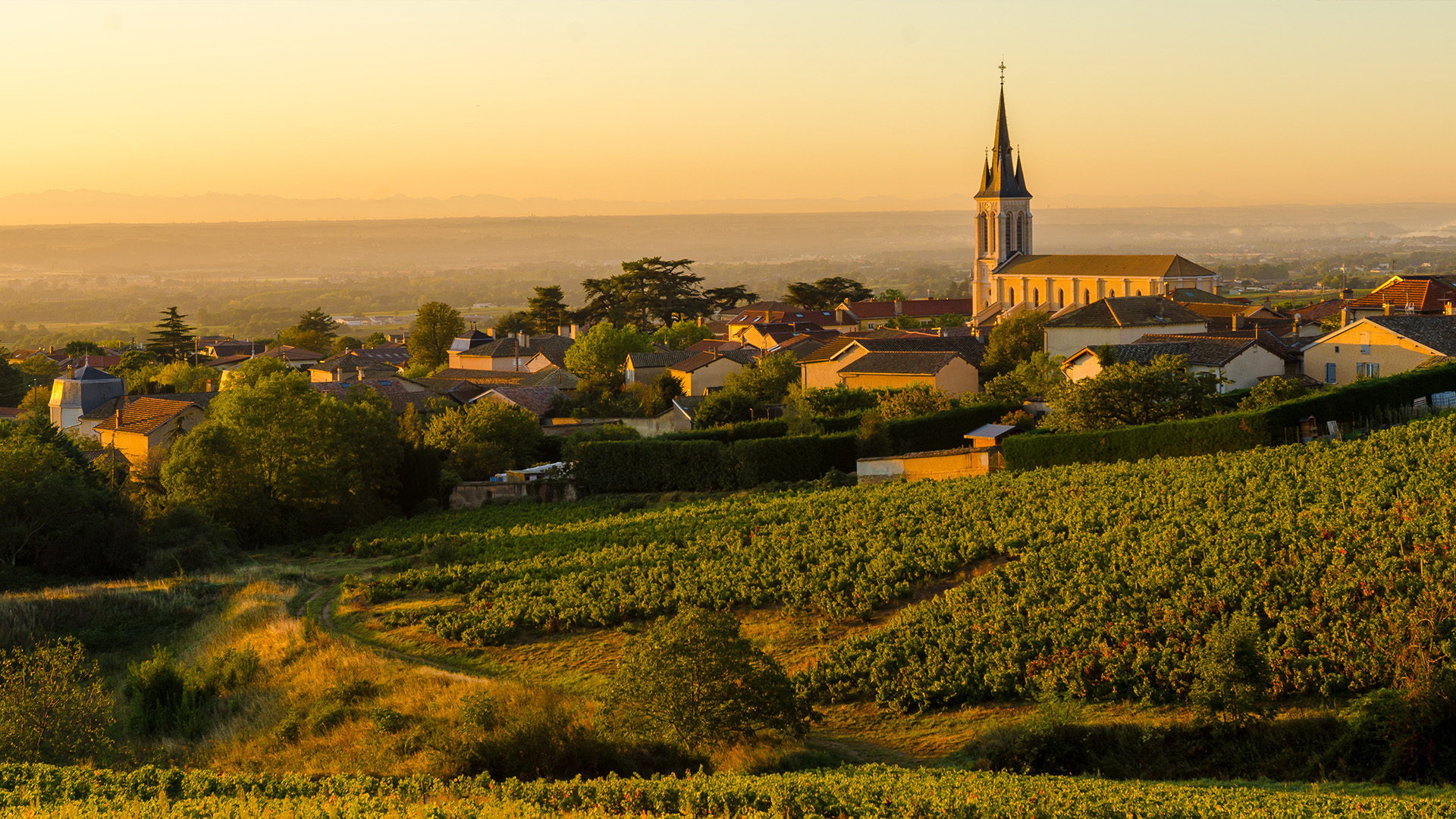 Beaujolais